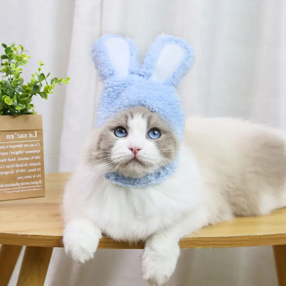 Lindo Sombrero para tu Gatito